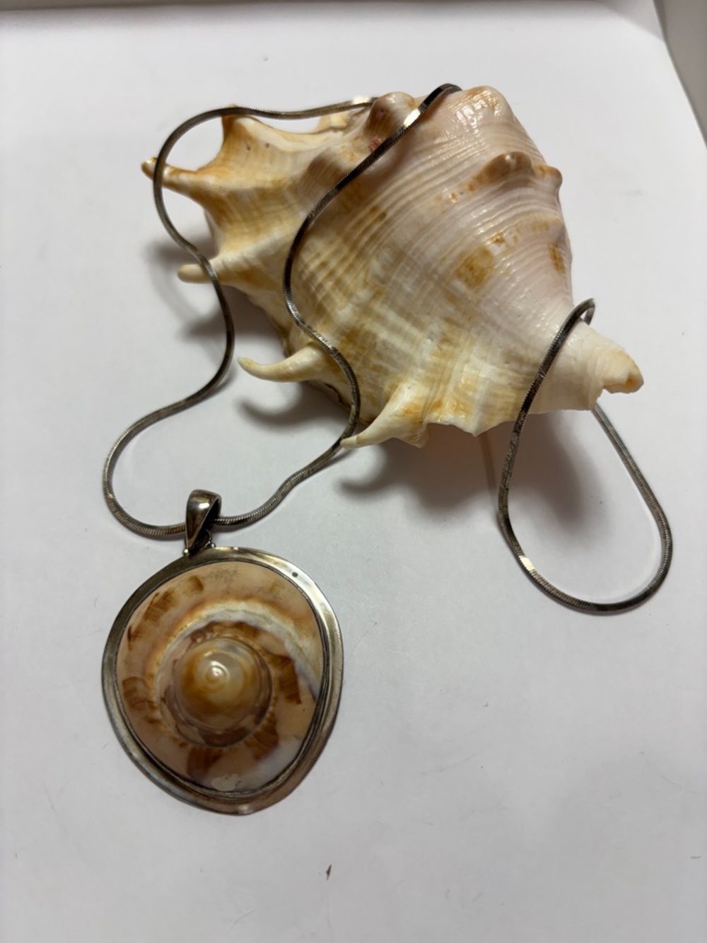 Silver Seashell Pendant with 925 frame